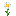 Oxeye Daisy