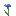 Cornflower